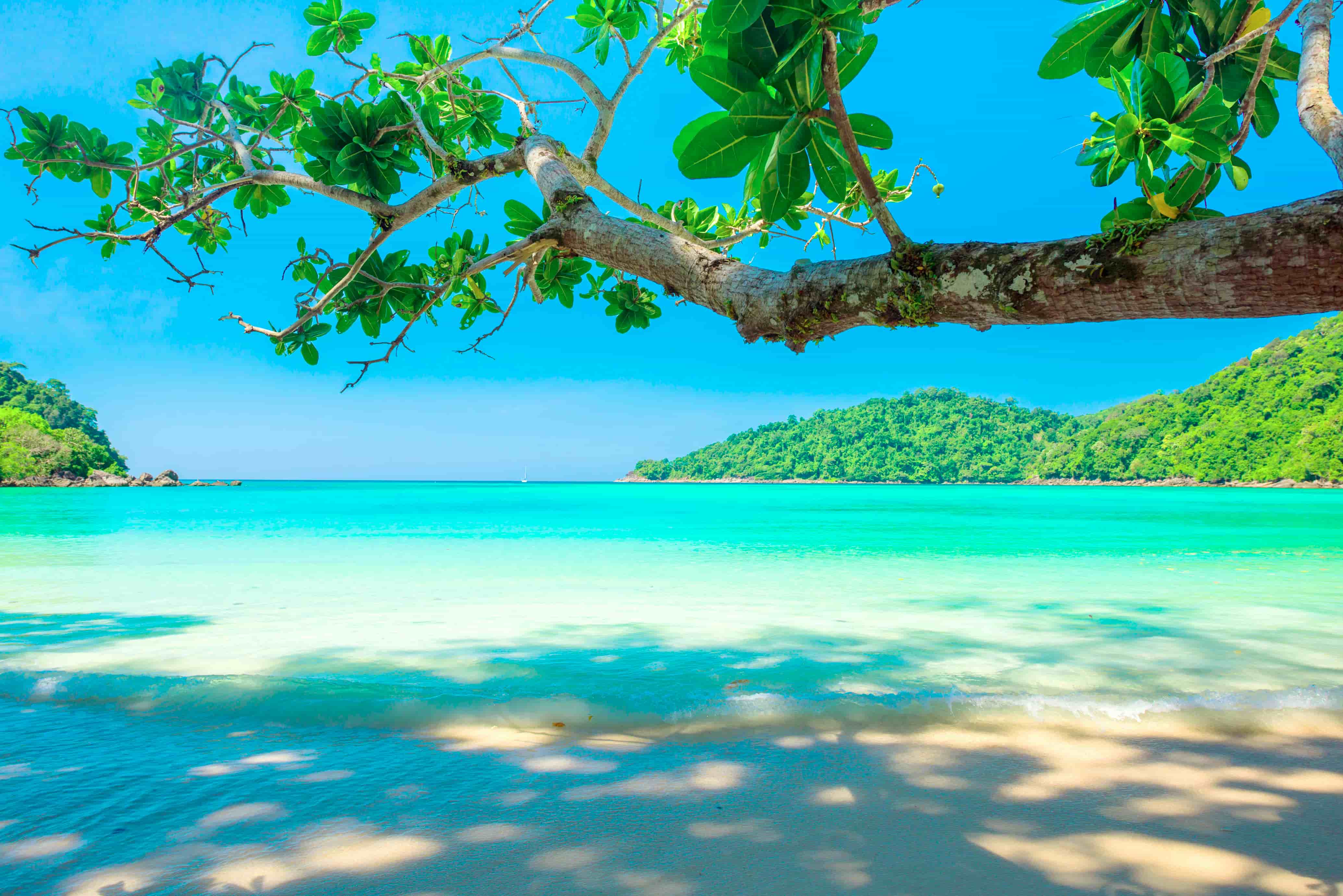 Taniti: turquoise bay, sandy beach, and green hills